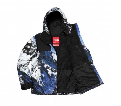 supreme north face mountain coat