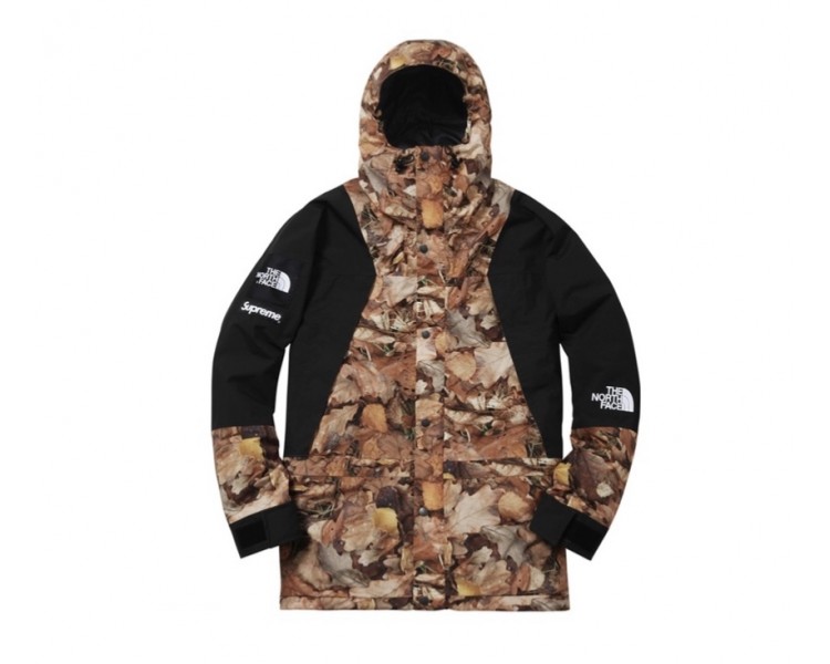 supreme north face leaves