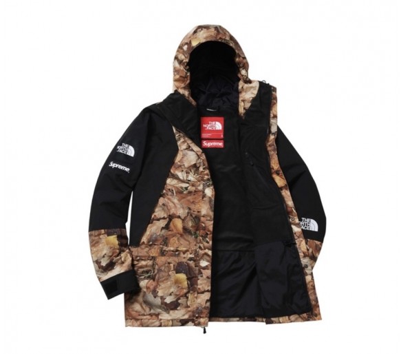 North Face Mountain Light Jacket Leaves