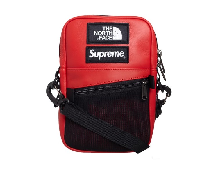 north face supreme leather backpack